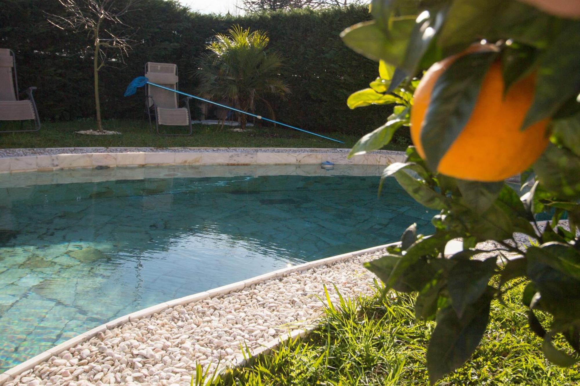 Guest H4U - Villa Garden & Pool Póvoa de Varzim Eksteriør bilde